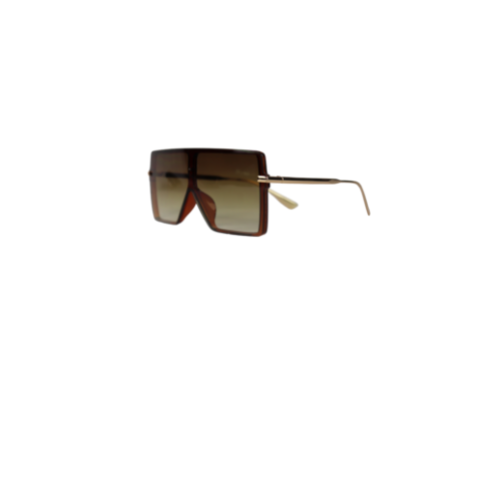 SIENNA BROWN OVERSIZED LUXURY WOMEN'S SUNGLASSES WITH CASE